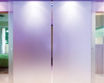 Frameless Hanging Sliding Door