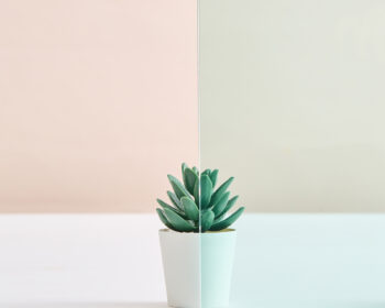 04-Colour Tinted Glass